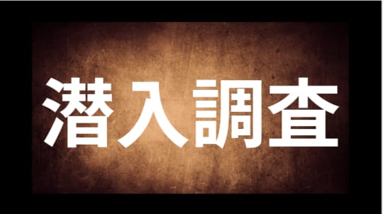 潜入調査