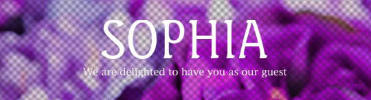 SOPHIA(ソフィア)