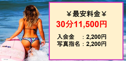 料金