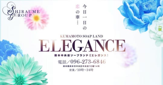 エレガンス熊本