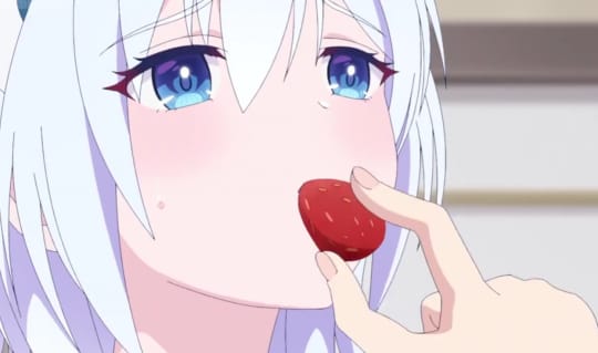 姫路 白雪他