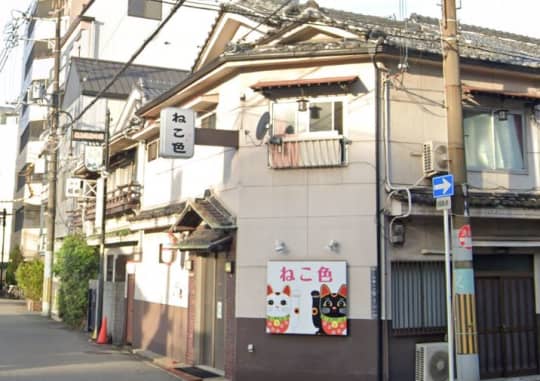 ねこ色