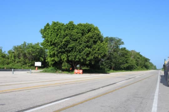 遺跡までの道中の高速道路