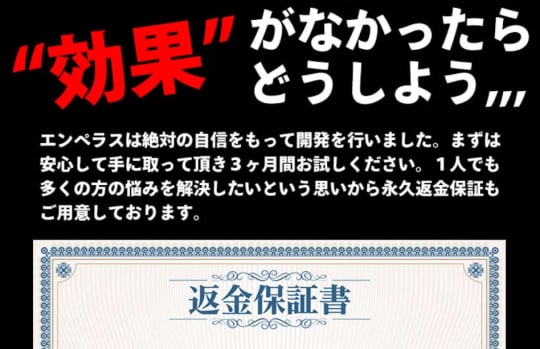 公式通販サイトの画像