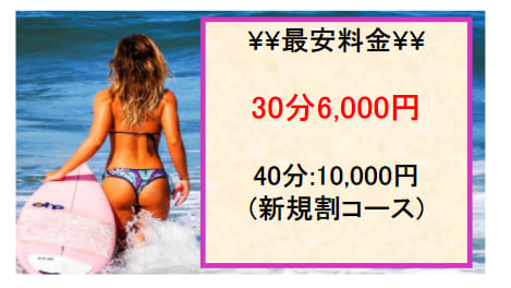 野ばらの料金表