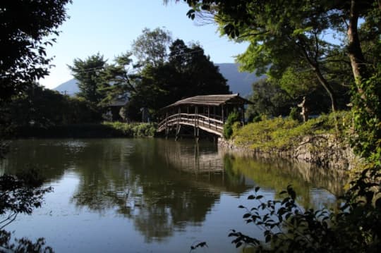 弓削神社　裏