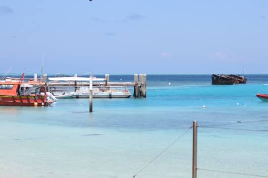 Heron Island