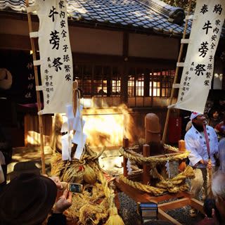 日本のエロ祭り