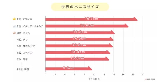 ペニスサイズを示すグラフ画像