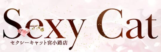 セクシーキャット