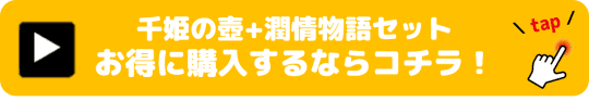 千姫の壺+潤情物語セット