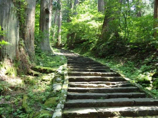 羽黒山　杉並木