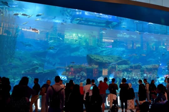 ドバイモール内の水族館