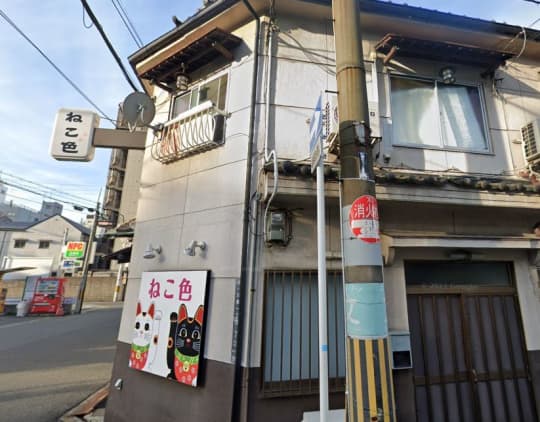 ねこ色