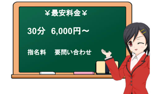 アイドルコレクションの料金表