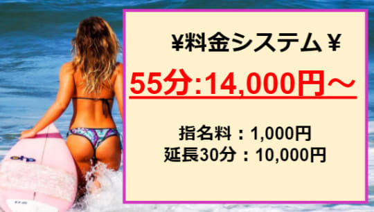 びちょ美女の料金表