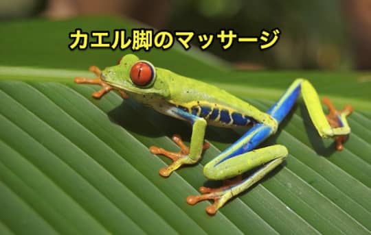 初めてのメンズエステ　カエル脚