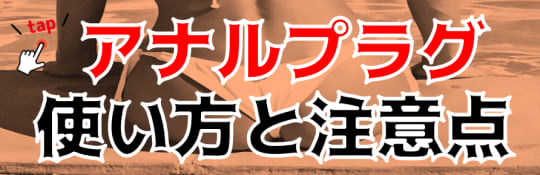 アナルプラグの使い方と注意点