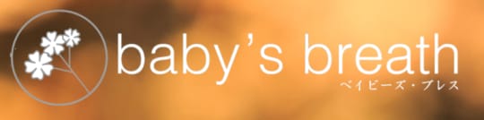 https://babys-br.com/