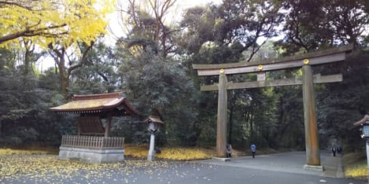 明治神宮の北参道鳥居