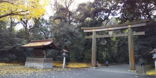 明治神宮の北参道鳥居