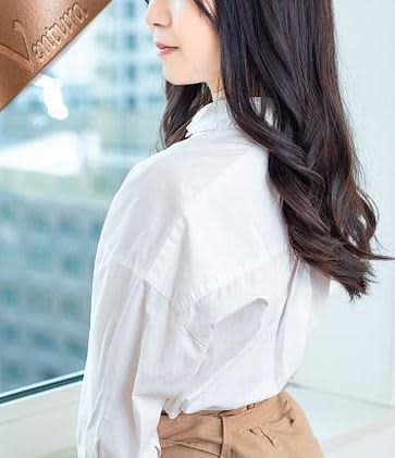 公式