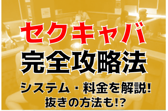 セクキャバ完全攻略法の記事