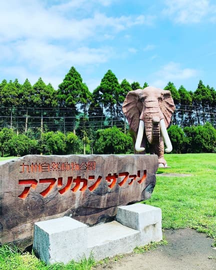 九州自然動物園アフリカンサファリ