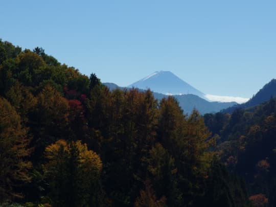 金櫻神社　富士山