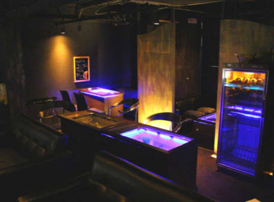 Aquarium Bar Rey"