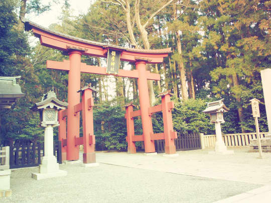 弥彦神社