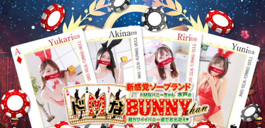 ドMなバニーちゃん水戸