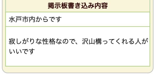 茨城 ヤリマン