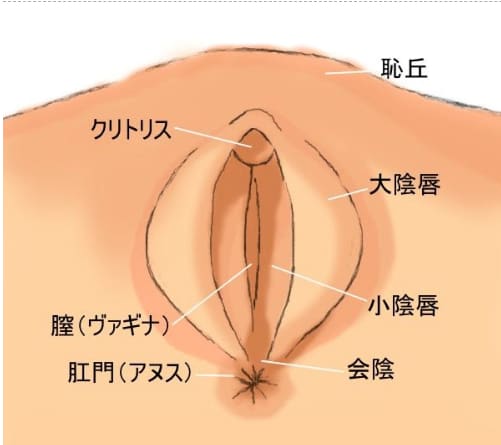 まんこ