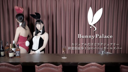 バニーガール・バー「Bunny Palace」