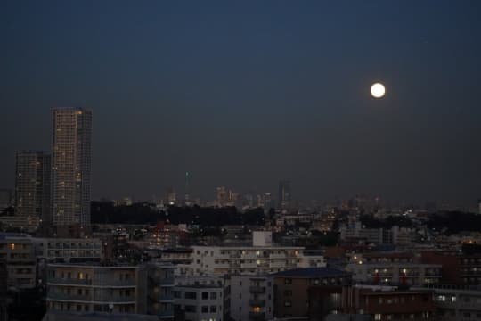 夜の東京