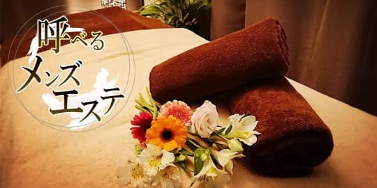 ポラリスのHP画像