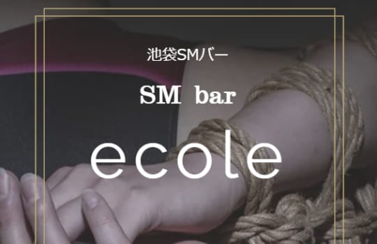 https://www.barecole.info/