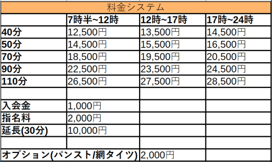 フェリスシステム