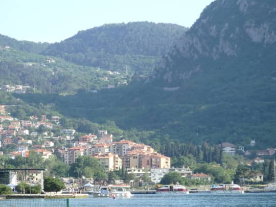 モンテネグロコトル