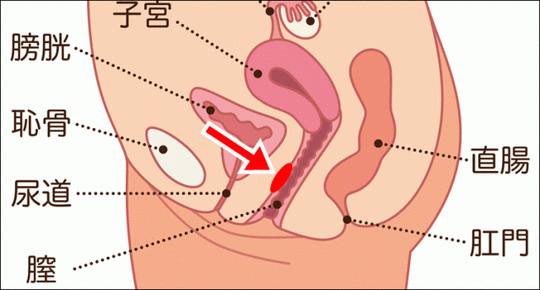 ハメ潮 潮吹き