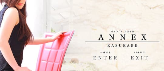 ANNEX