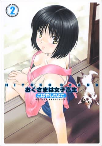 おくさまは女子高生二巻表紙
