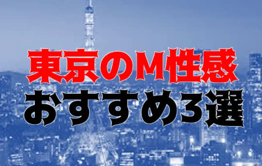 東京の他の夜遊び記事