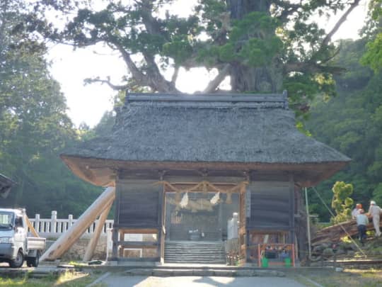 玉若酢命神社と八百杉