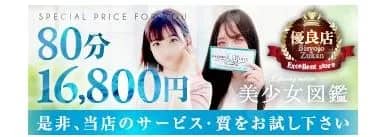 那須塩原美少女図鑑