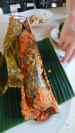 PonDok ikan bAkAr kalimAntan料理なまず