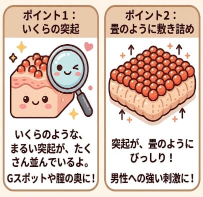 いくら畳型　名器