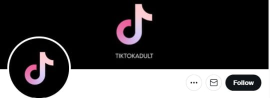 Adult TikToks