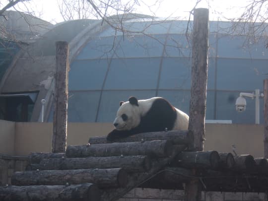 北京動物園